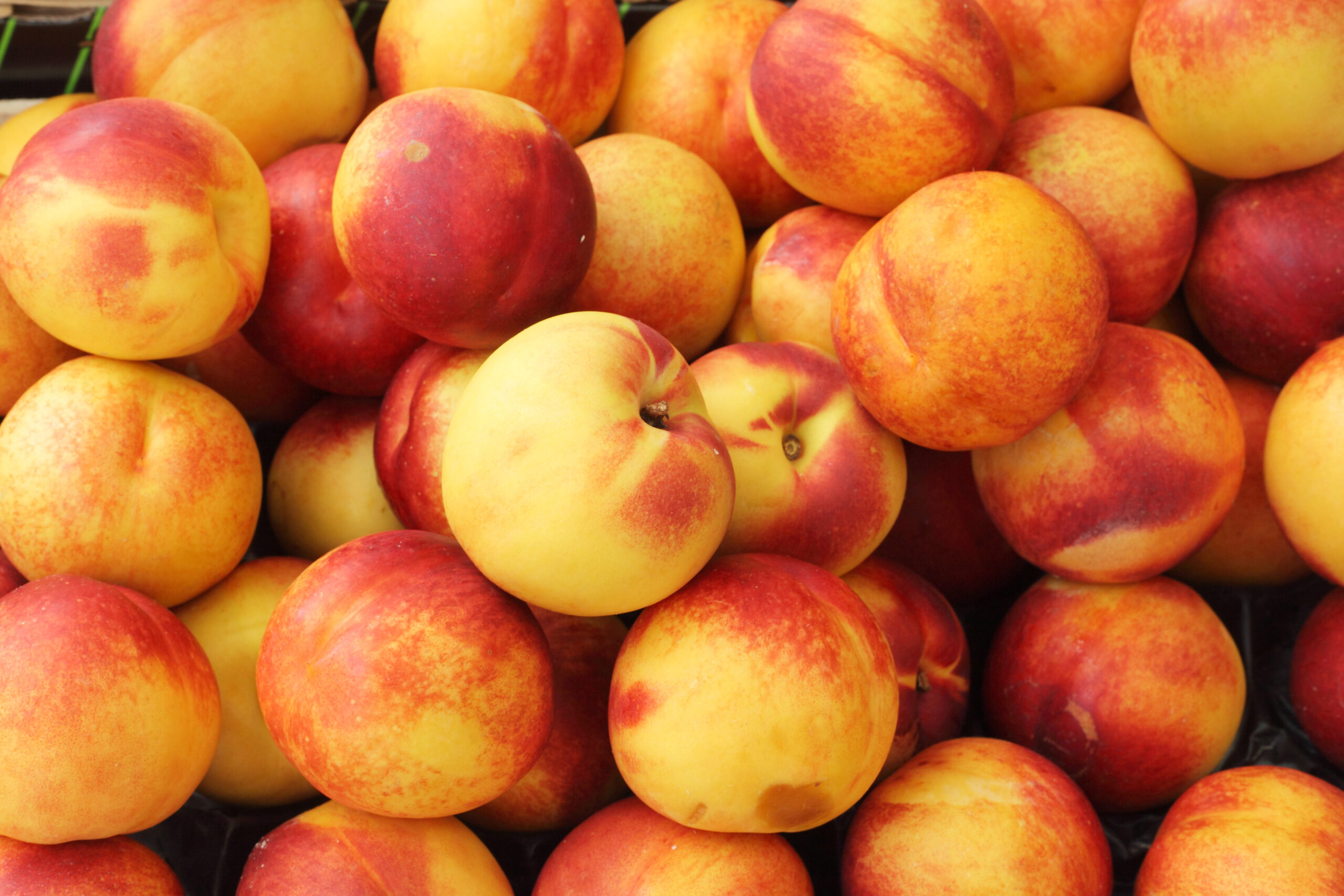 White Nectarines Information and Facts